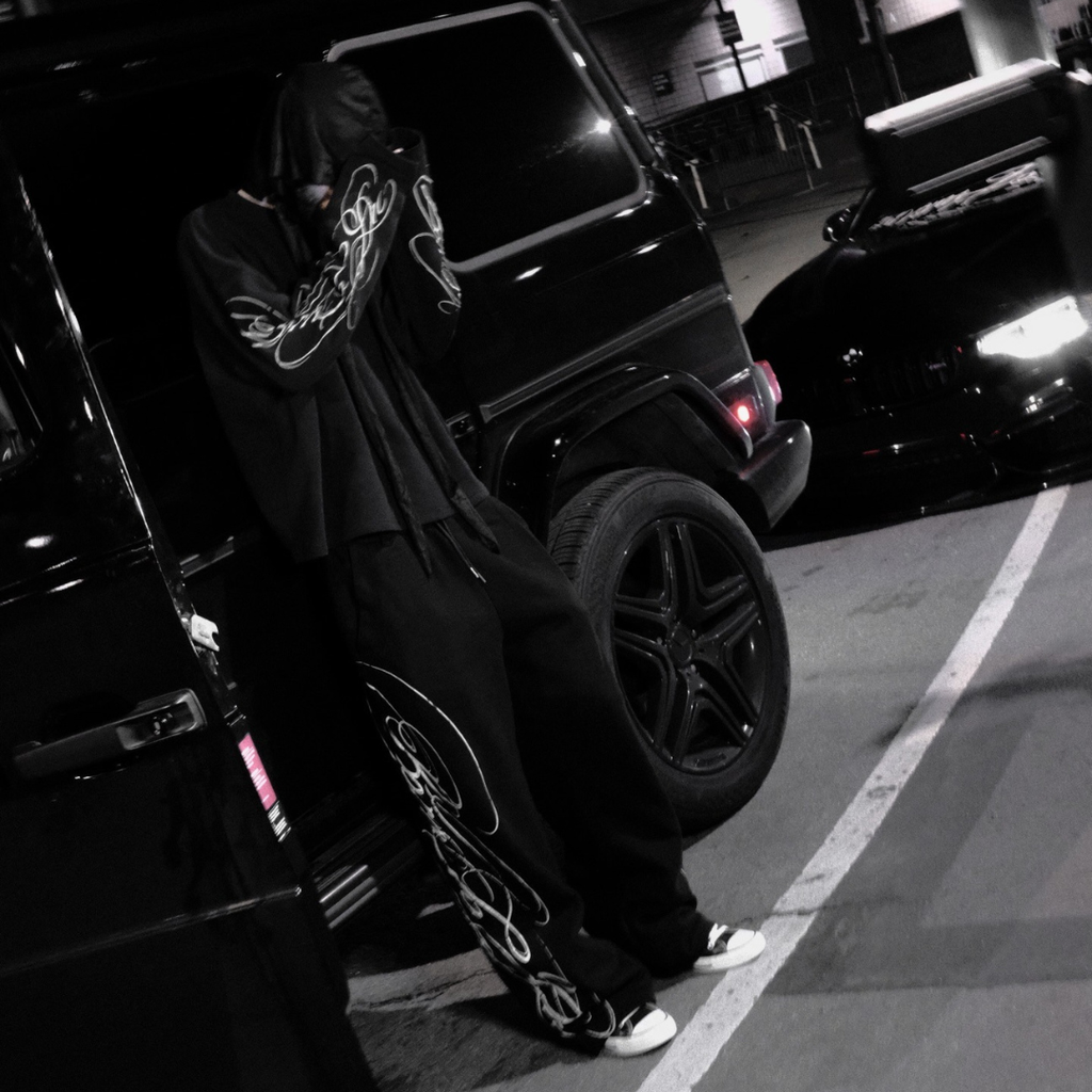 Insignia Sweatpants